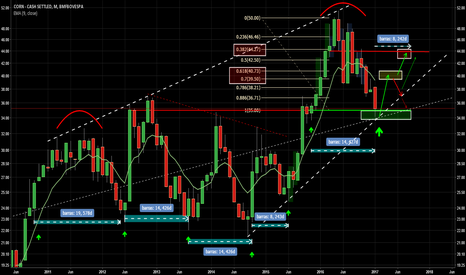 CCM1!: Milho para 2017: plantar para colher!