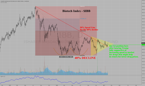 Ibb stock options