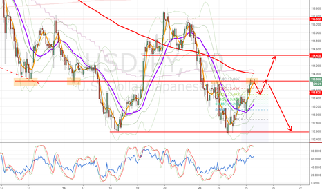 USDJPY: 【USDJPY】 2つのシナリオ 2017/01/25