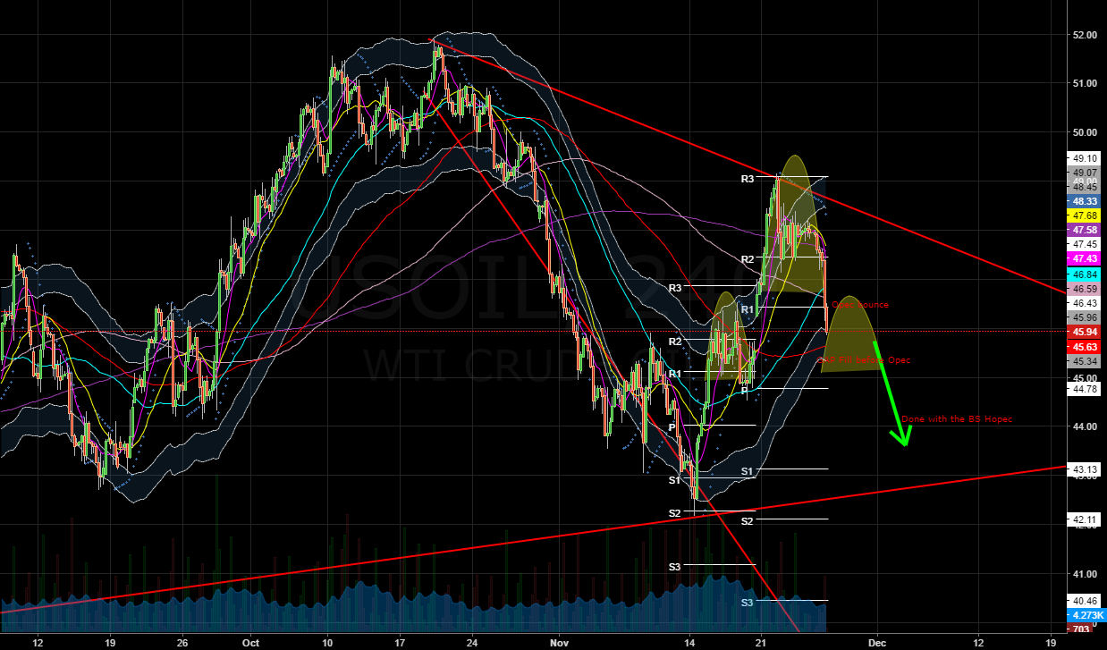 Forex 1st contact