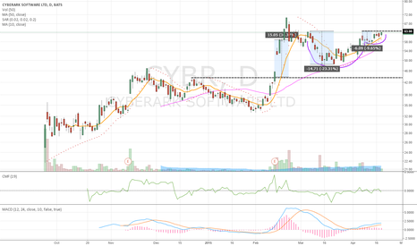 Cybr stock options