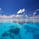 theinvestbay